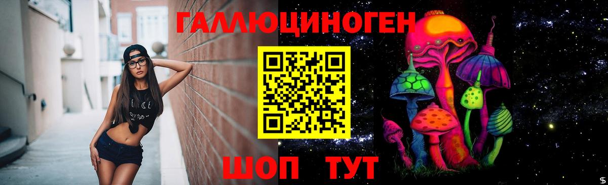 Псилоцибиновые грибы Psilocybine cubensis  Вход с VPN  Заречный 